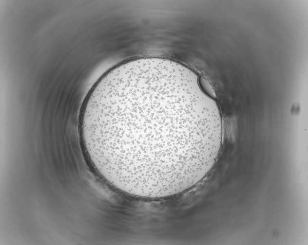 X0000093390147200711011318