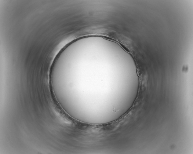 X0000093390148200711011318