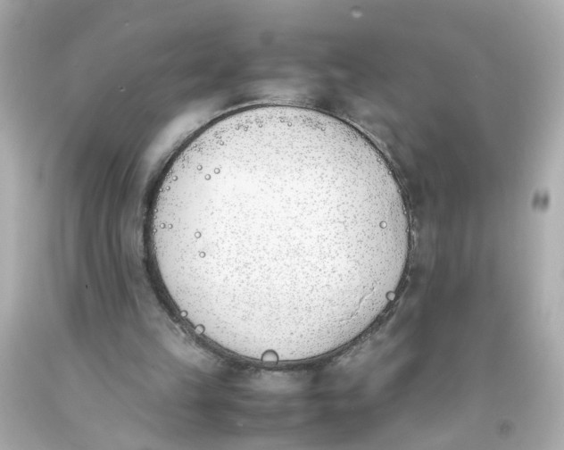 X0000093390149200711011318