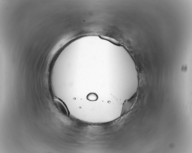 X0000093390150200711011318