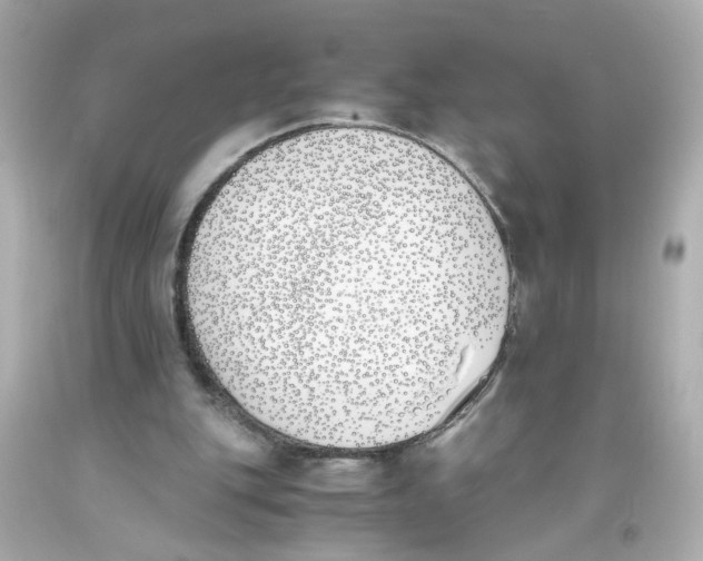 X0000093390151200711011318