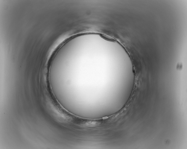 X0000093390152200711011318