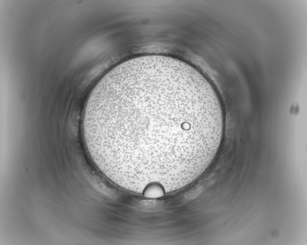 X0000093390153200711011318