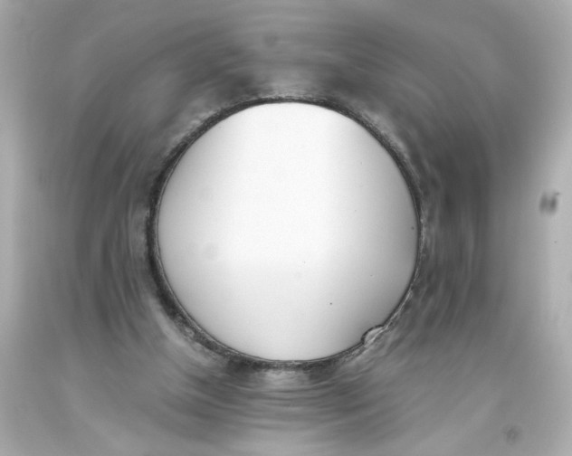 X0000093390154200711011318