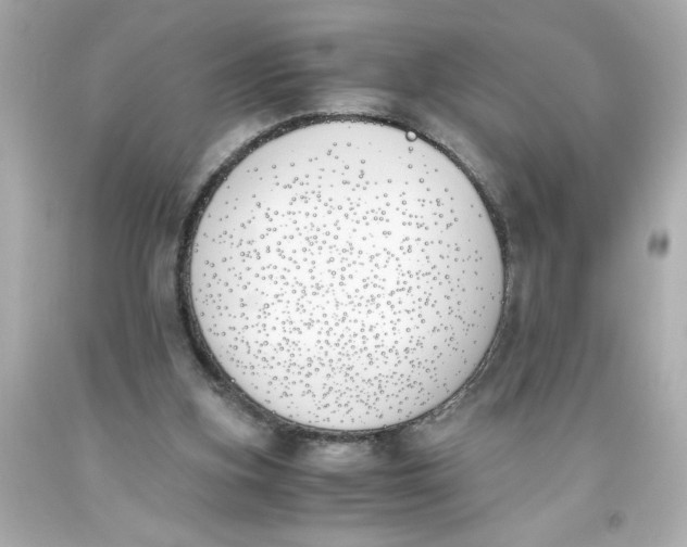 X0000093390155200711011318