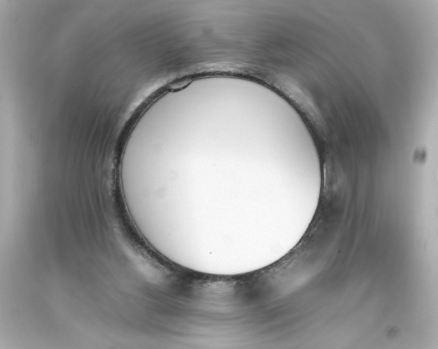 X0000093390156200711011318