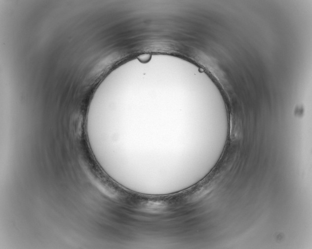 X0000093390157200711011318