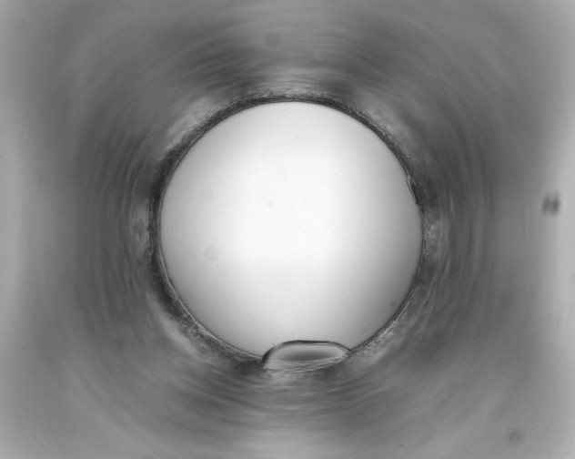 X0000093390158200711011318