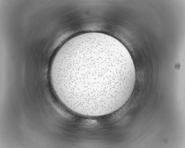 X0000093390159200711011318