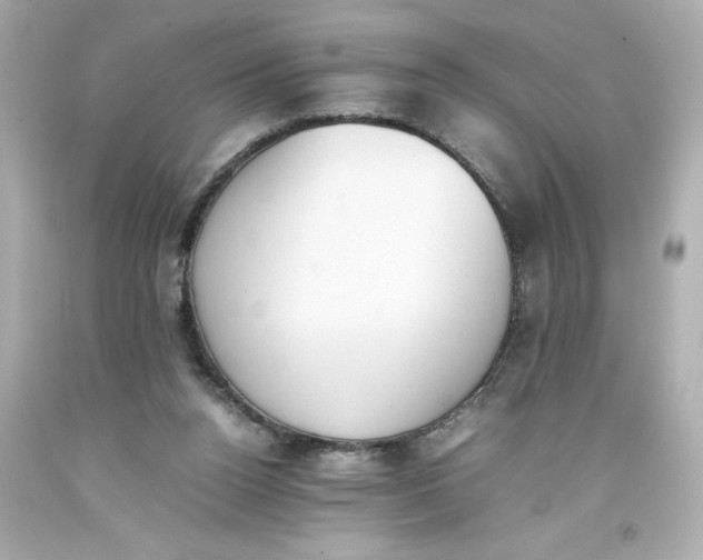 X0000093390160200711011318