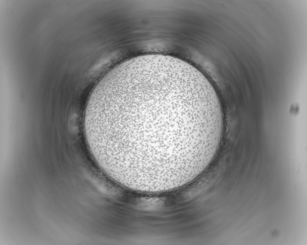 X0000093390161200711011318