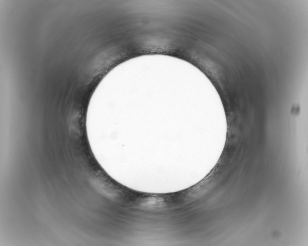 X0000093390162200711011318