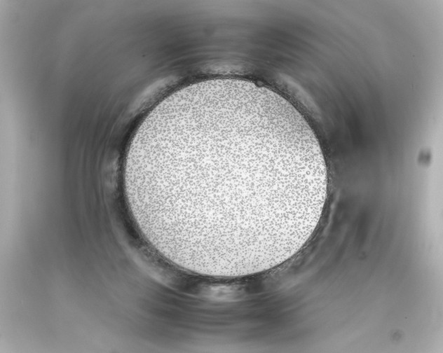 X0000093390163200711011318