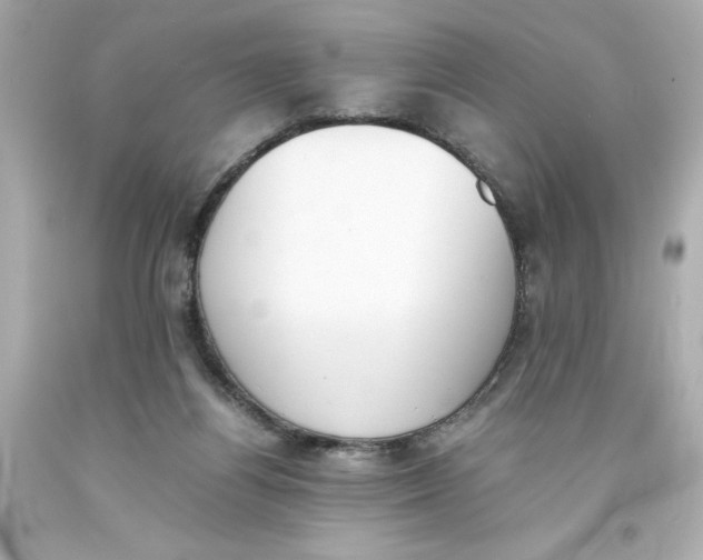 X0000093390164200711011318