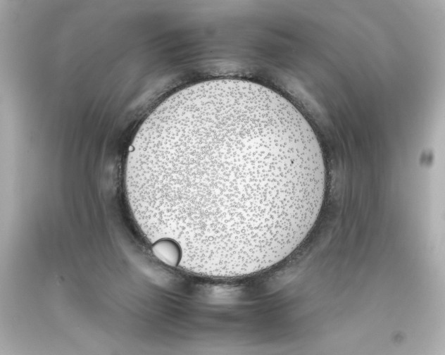 X0000093390165200711011318