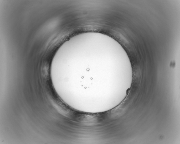 X0000093390166200711011318