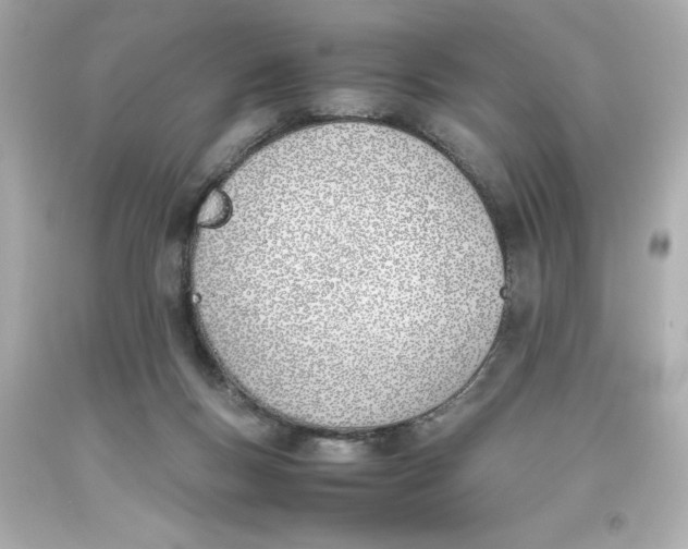 X0000093390167200711011318