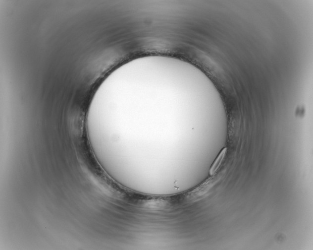 X0000093390168200711011318