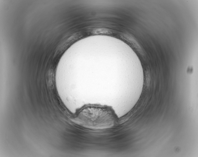 X0000093390169200711011318