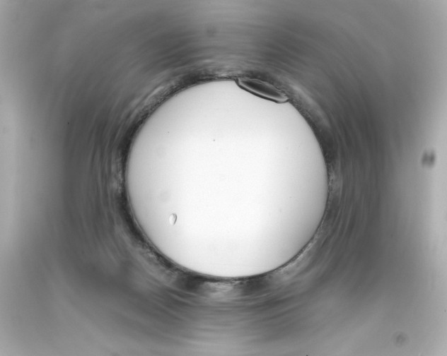 X0000093390170200711011318