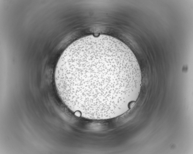 X0000093390171200711011318