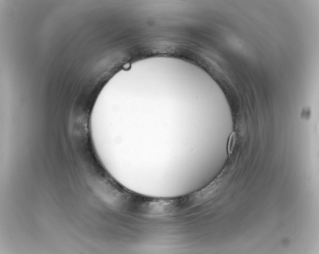 X0000093390172200711011318