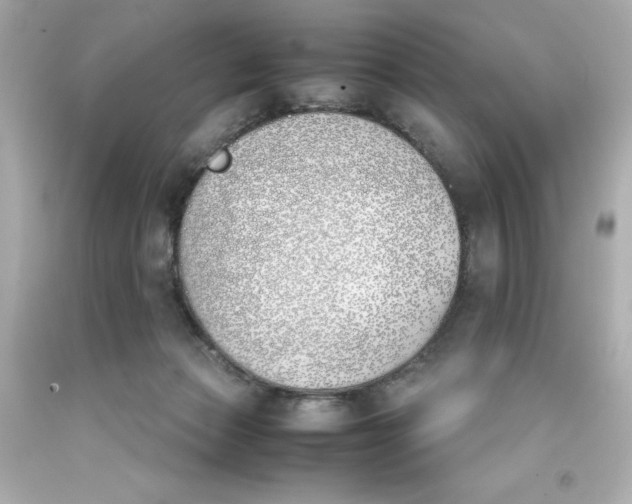 X0000093390173200711011318