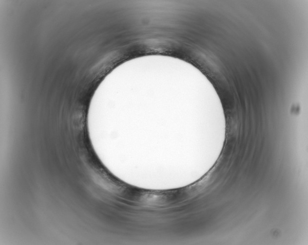 X0000093390174200711011319