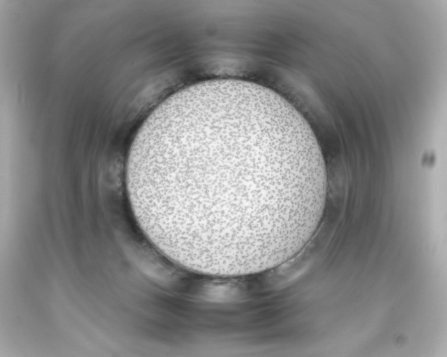 X0000093390175200711011319