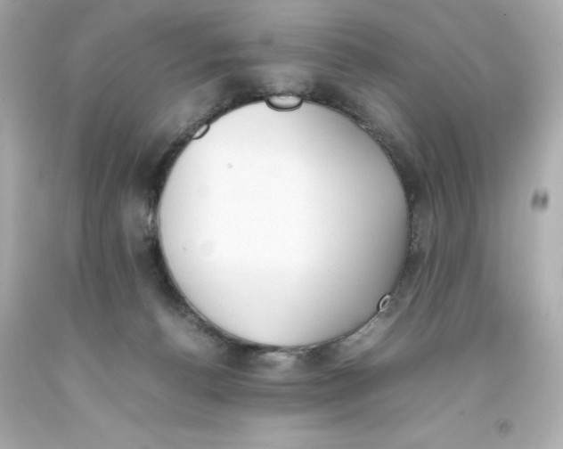 X0000093390176200711011319