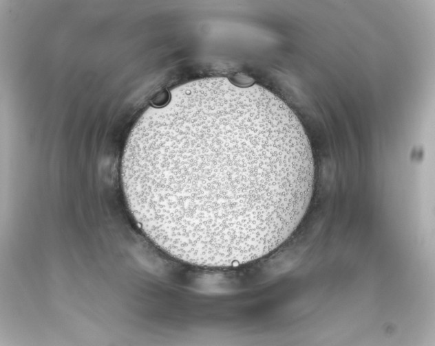 X0000093390177200711011319