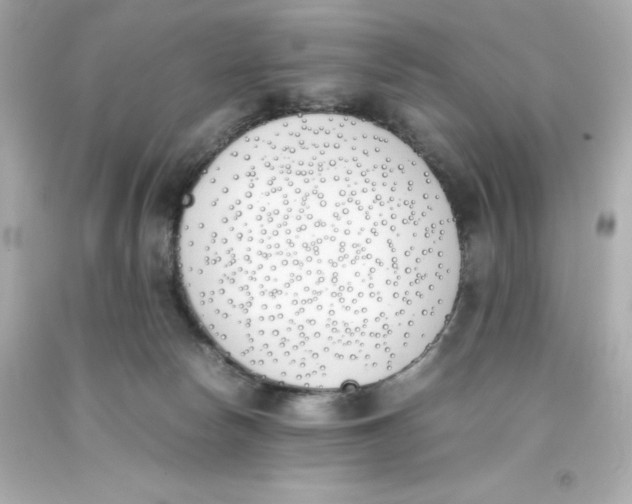 X0000093390178200711011319