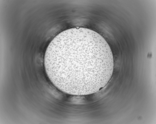 X0000093390179200711011319