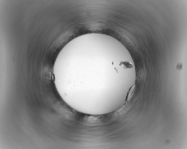 X0000093390180200711011319