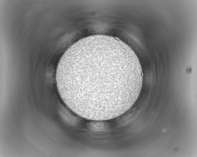 X0000093390181200711011319