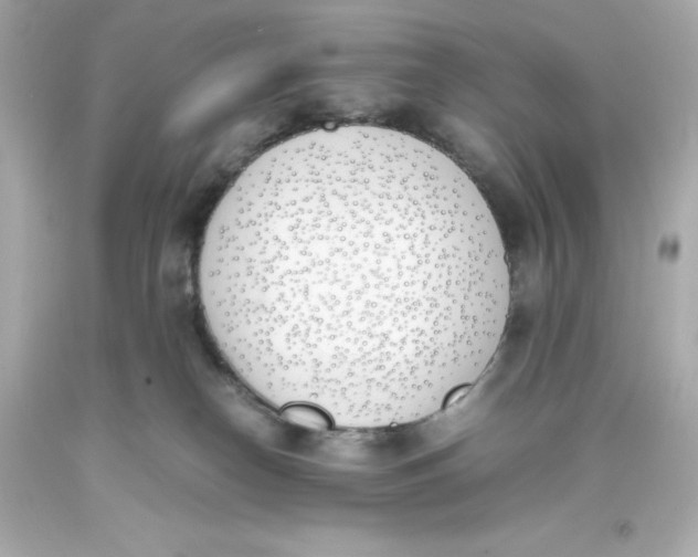 X0000093390182200711011319