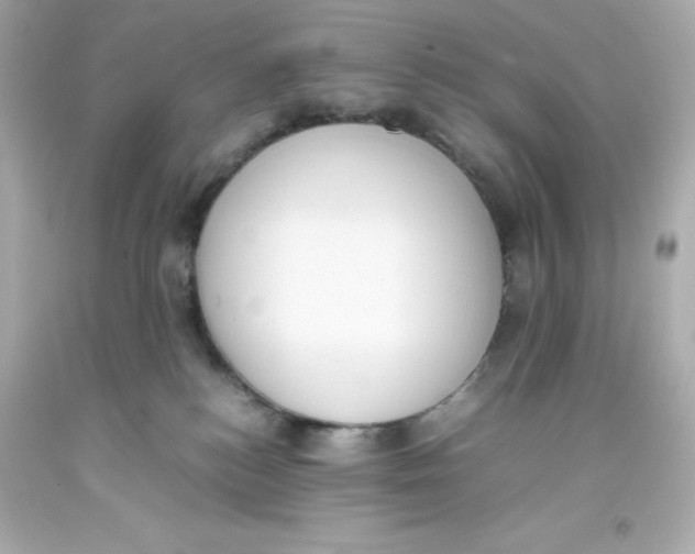 X0000093390184200711011319