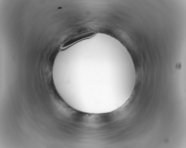 X0000093390186200711011319