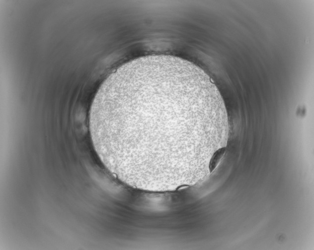 X0000093390187200711011319