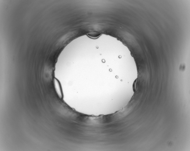 X0000093390188200711011319