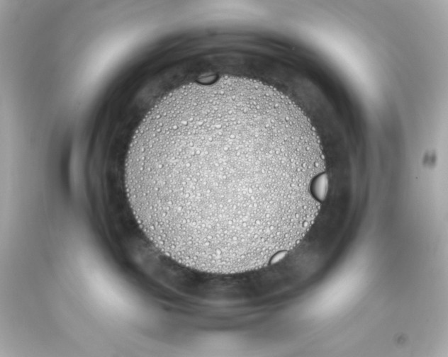 X0000093390189200711011319