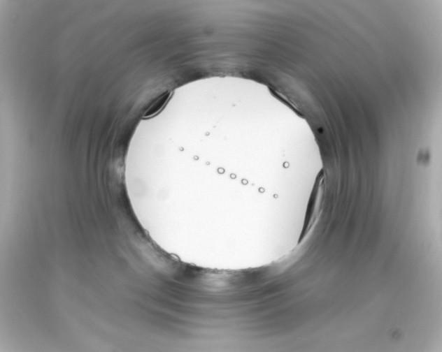 X0000093390190200711011319