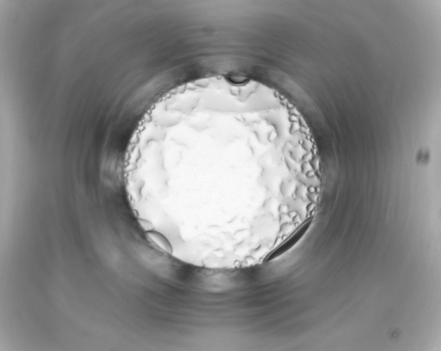 X0000093390191200711011319