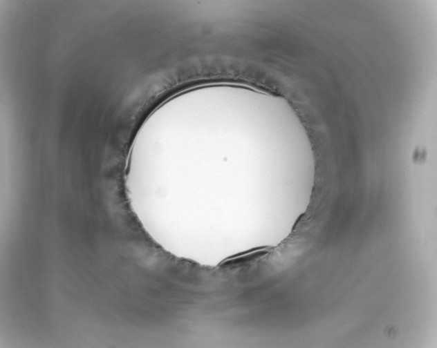 X0000093390192200711011319