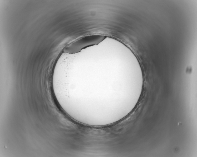 X0000093390193200711011318