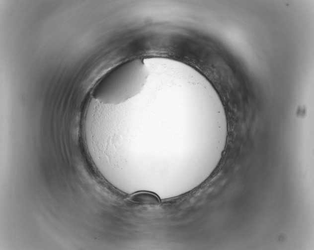 X0000093390194200711011318