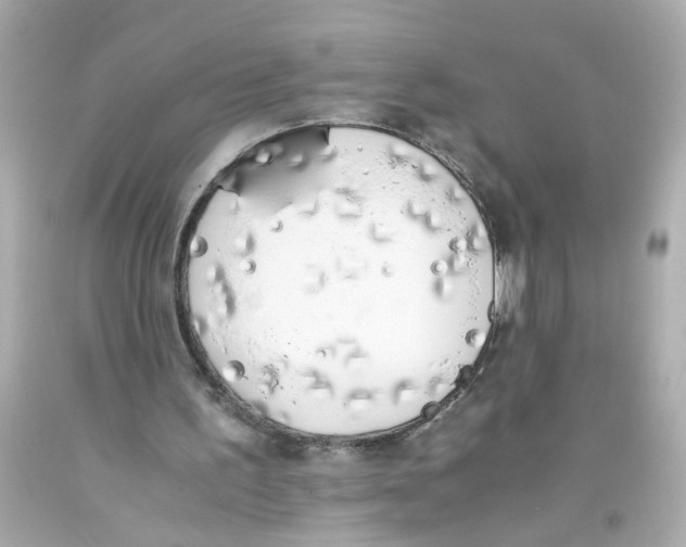 X0000093390195200711011318