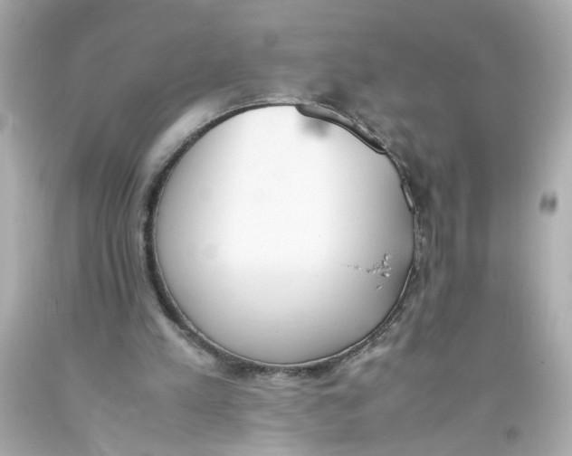 X0000093390197200711011318