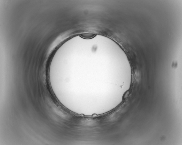 X0000093390198200711011318