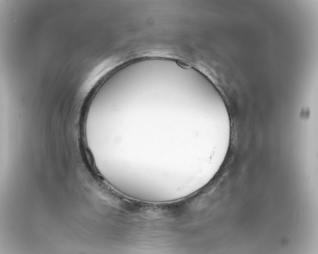 X0000093390199200711011318